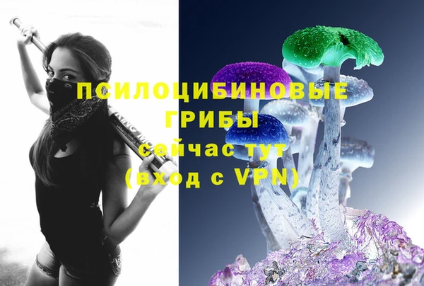 mdpv Магас