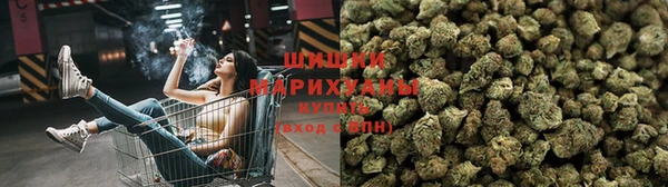 спиды Магадан